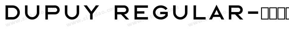 Dupuy Regular字体转换